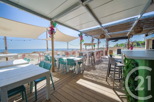Maison &agrave; vendre - 6 pi&egrave;ces - 270 m2 - Sorbo Ocagnano - 202 - CORSE