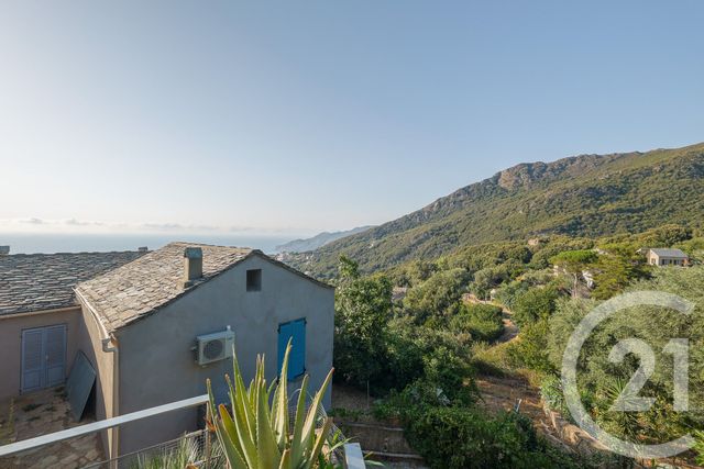 Maison &agrave; vendre - 6 pi&egrave;ces - 115 m2 - Morsiglia - 202 - CORSE
