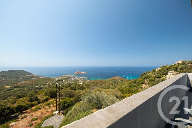 Maison &agrave; vendre - 6 pi&egrave;ces - 170 m2 - Centuri - 202 - CORSE