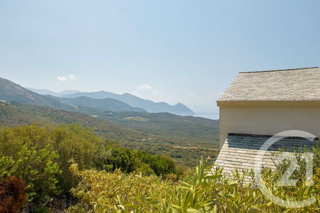 Maison &agrave; vendre - 6 pi&egrave;ces - 170 m2 - Centuri - 202 - CORSE