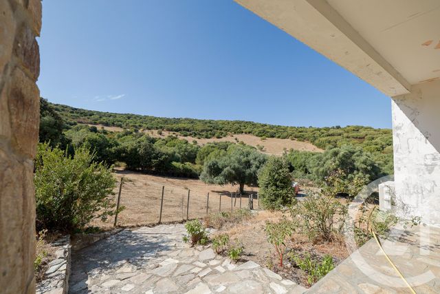 Maison &agrave; vendre - 9 pi&egrave;ces - 167 m2 - Santo Pietro Di Tenda - 202 - CORSE