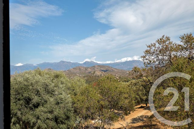 Maison &agrave; vendre - 9 pi&egrave;ces - 167 m2 - Santo Pietro Di Tenda - 202 - CORSE