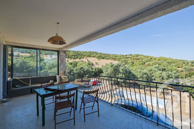 Maison &agrave; vendre - 9 pi&egrave;ces - 167 m2 - Santo Pietro Di Tenda - 202 - CORSE