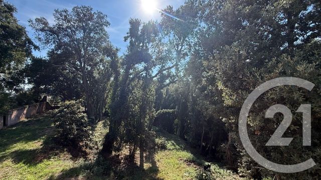 Maison &agrave; vendre - 6 pi&egrave;ces - 180 m2 - Penta Di Casinca - 202 - CORSE