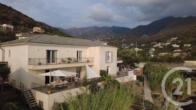 Maison &agrave; vendre - 5 pi&egrave;ces - 165 m2 - Santa Maria Di Lota - 202 - CORSE