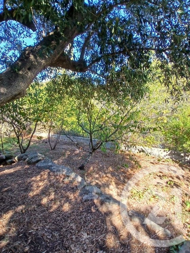 Maison &agrave; louer - 3 pi&egrave;ces - 49,30 m2 - Sisco - 202 - CORSE