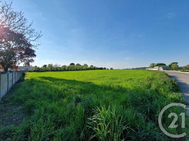Terrain à vendre - 5280 m2 - Mauron - 56 - BRETAGNE