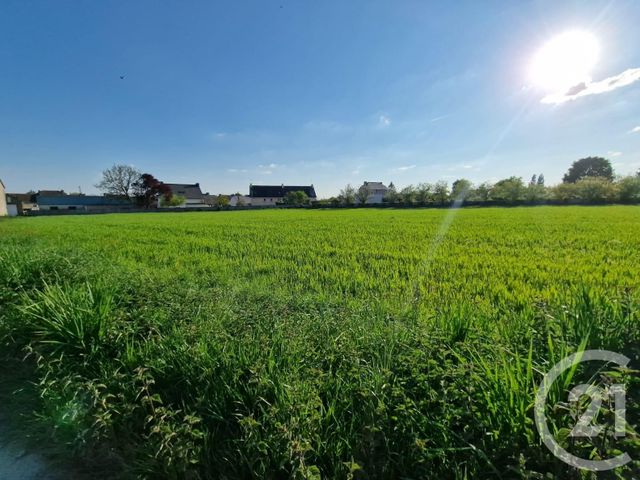 Terrain à vendre - 5280 m2 - Mauron - 56 - BRETAGNE