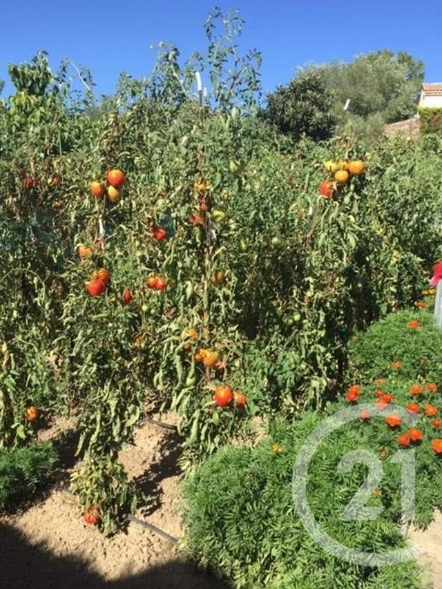 Maison &agrave; vendre - 4 pi&egrave;ces - 104 m2 - Limoux - 11 - LANGUEDOC-ROUSSILLON
