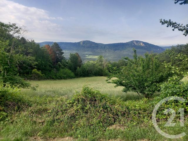 Maison à vendre - 10 pièces - 425 m2 - Arques - 11 - LANGUEDOC-ROUSSILLON