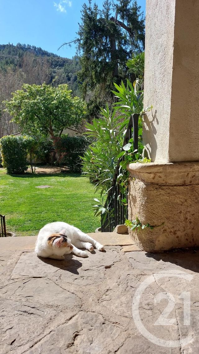 Maison à vendre - 12 pièces - 300 m2 - Alet Les Bains - 11 - LANGUEDOC-ROUSSILLON