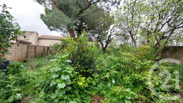 Maison &agrave; vendre - 7 pi&egrave;ces - 188 m2 - Malvies - 11 - LANGUEDOC-ROUSSILLON