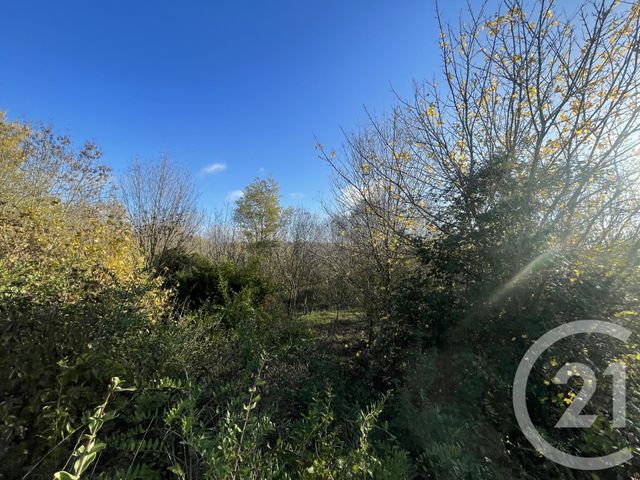 Terrain &agrave; vendre - 33395 m2 - Rouffiac D Aude - 11 - LANGUEDOC-ROUSSILLON