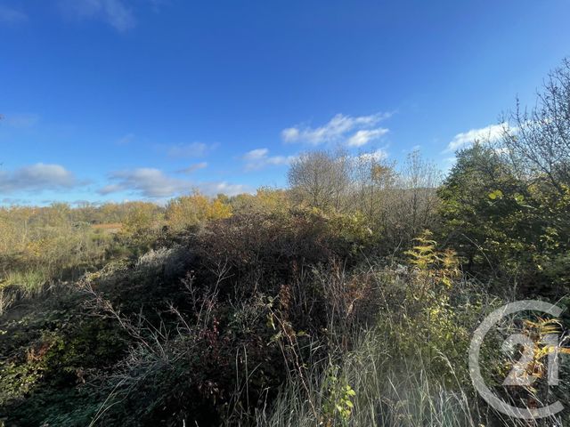 Terrain &agrave; vendre - 33395 m2 - Rouffiac D Aude - 11 - LANGUEDOC-ROUSSILLON