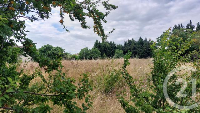Terrain &agrave; vendre - 631 m2 - Malvies - 11 - LANGUEDOC-ROUSSILLON