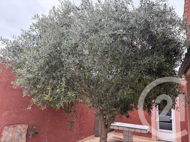 Maison à vendre - 6 pièces - 115 m2 - Limoux - 11 - LANGUEDOC-ROUSSILLON