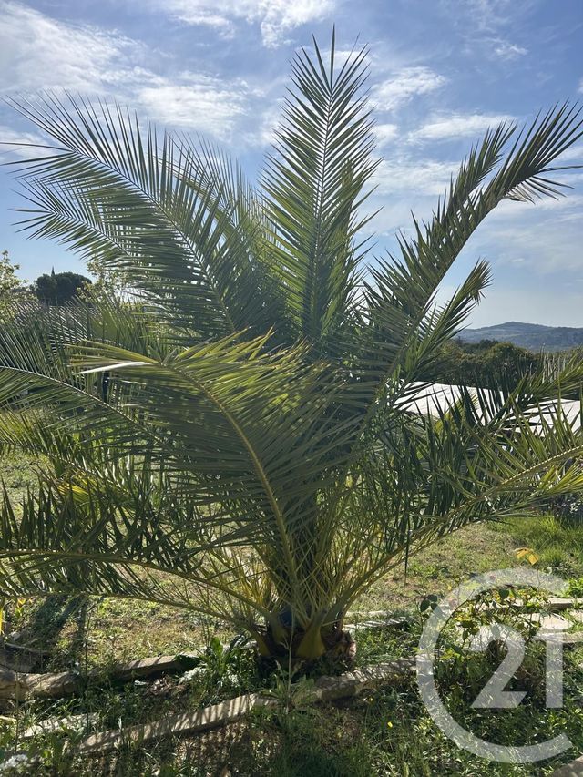 Maison à vendre - 4 pièces - 130 m2 - Pomas - 11 - LANGUEDOC-ROUSSILLON