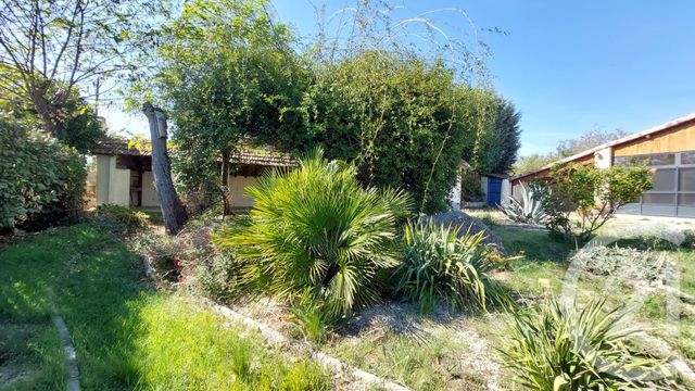 Maison à vendre - 5 pièces - 136 m2 - Belveze Du Razes - 11 - LANGUEDOC-ROUSSILLON