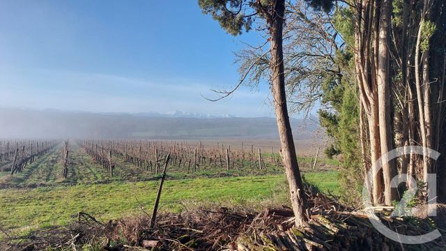 Maison &agrave; vendre - 16 pi&egrave;ces - 580 m2 - Belveze Du Razes - 11 - LANGUEDOC-ROUSSILLON