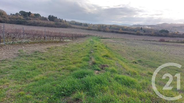 Terrain &agrave; vendre - 7000 m2 - Belveze Du Razes - 11 - LANGUEDOC-ROUSSILLON