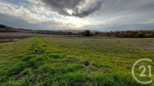 Terrain &agrave; vendre - 14000 m2 - Belveze Du Razes - 11 - LANGUEDOC-ROUSSILLON