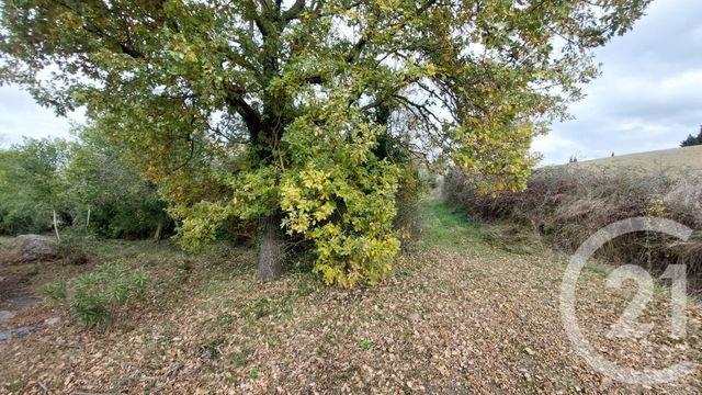 Maison &agrave; vendre - 4 pi&egrave;ces - 92 m2 - Cailhau - 11 - LANGUEDOC-ROUSSILLON