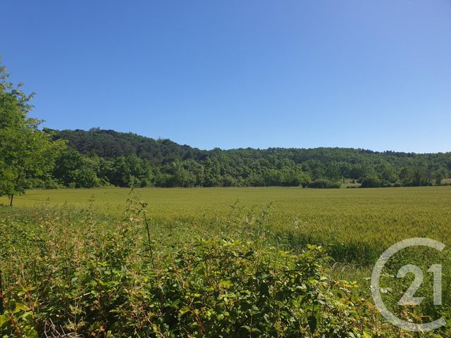 Maison &agrave; vendre - 17 pi&egrave;ces - 520 m2 - Mirepoix - 09 - MIDI-PYRENEES