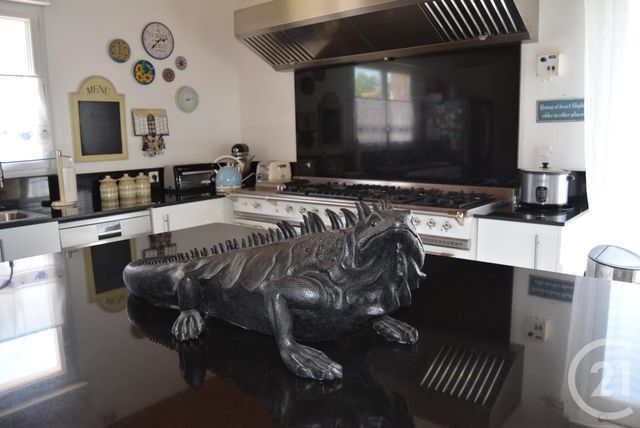 Maison &agrave; vendre - 7 pi&egrave;ces - 283 m2 - Belveze Du Razes - 11 - LANGUEDOC-ROUSSILLON