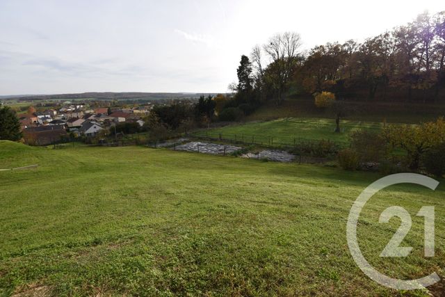 Maison &agrave; vendre - 8 pi&egrave;ces - 350 m2 - Breistroff La Grande - 57 - LORRAINE