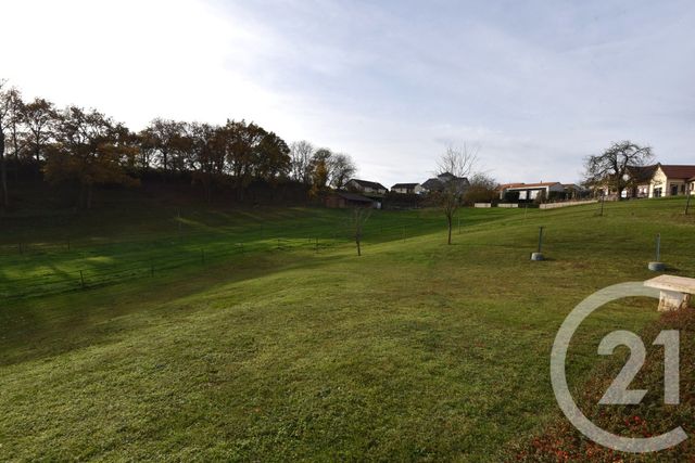 Maison &agrave; vendre - 8 pi&egrave;ces - 350 m2 - Breistroff La Grande - 57 - LORRAINE