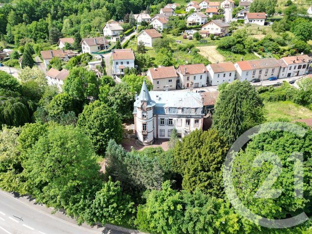 Maison à vendre - 19 pièces - 525 m2 - Moyenmoutier - 88 - LORRAINE