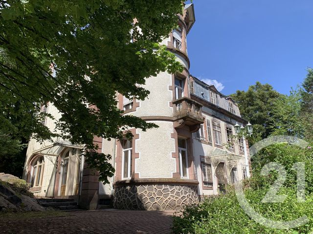 Maison à vendre - 19 pièces - 525 m2 - Moyenmoutier - 88 - LORRAINE