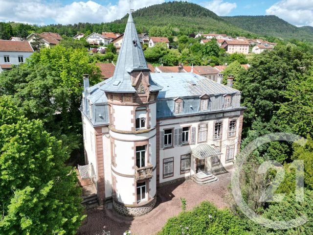 maison - MOYENMOUTIER - 88