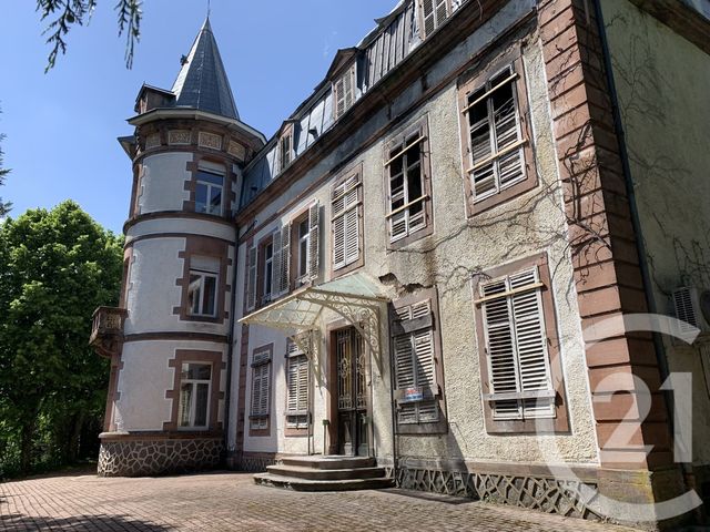 Maison à vendre - 19 pièces - 525 m2 - Moyenmoutier - 88 - LORRAINE