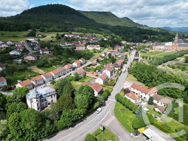 Maison à vendre - 19 pièces - 525 m2 - Moyenmoutier - 88 - LORRAINE