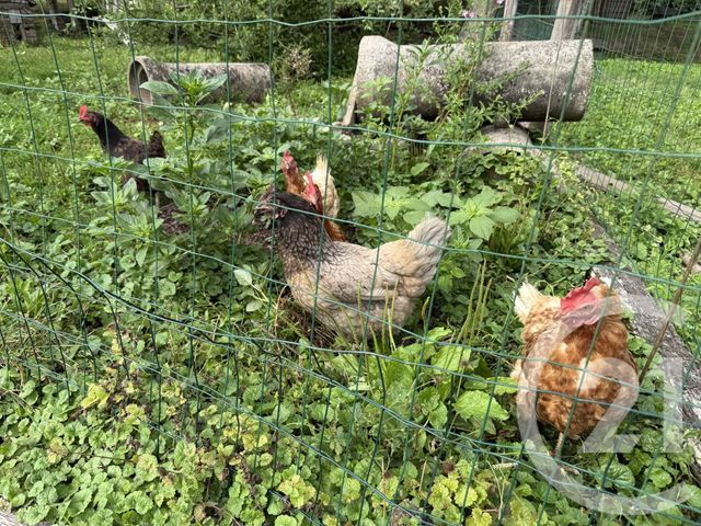 Maison à vendre - 4 pièces - 74,44 m2 - La Bourgonce - 88 - LORRAINE