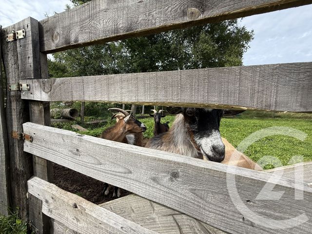 Maison à vendre - 4 pièces - 74,44 m2 - La Bourgonce - 88 - LORRAINE