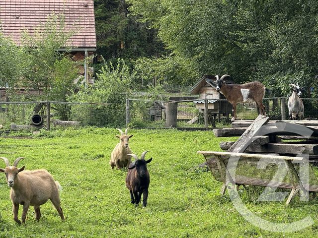 Maison à vendre - 4 pièces - 74,44 m2 - La Bourgonce - 88 - LORRAINE