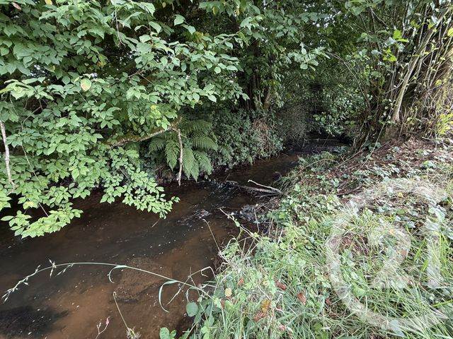 Maison à vendre - 4 pièces - 74,44 m2 - La Bourgonce - 88 - LORRAINE