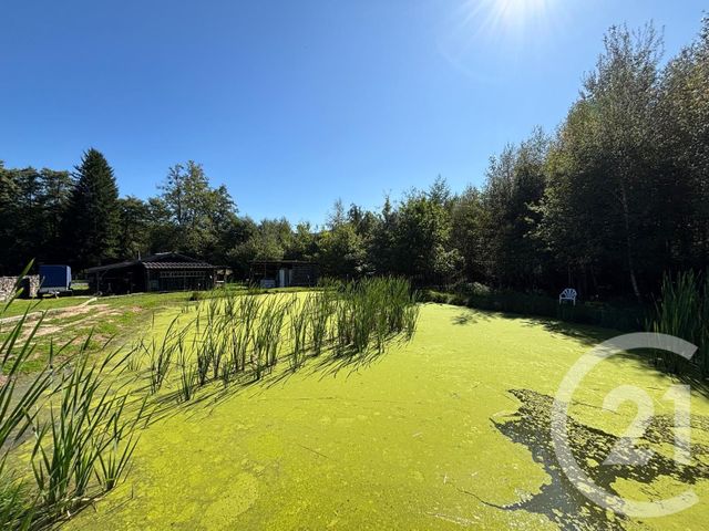 Maison à vendre - 4 pièces - 74,44 m2 - La Bourgonce - 88 - LORRAINE