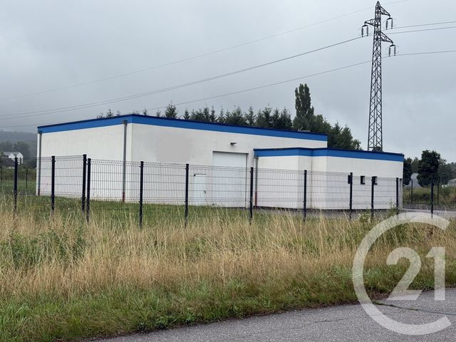 Maison à vendre - 3 pièces - 243,44 m2 - Moyenmoutier - 88 - LORRAINE