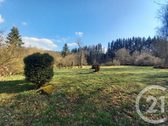 Maison à vendre - 9 pièces - 243 m2 - Taintrux - 88 - LORRAINE