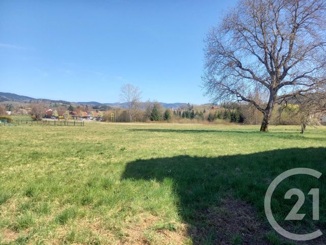 Terrain &agrave; vendre - 1505 m2 - Anould - 88 - LORRAINE