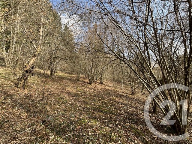 Maison &agrave; vendre - 3 pi&egrave;ces - 66,87 m2 - Le Saulcy - 88 - LORRAINE