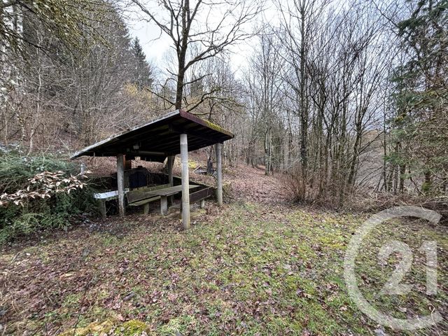 Maison &agrave; vendre - 3 pi&egrave;ces - 66,87 m2 - Le Saulcy - 88 - LORRAINE