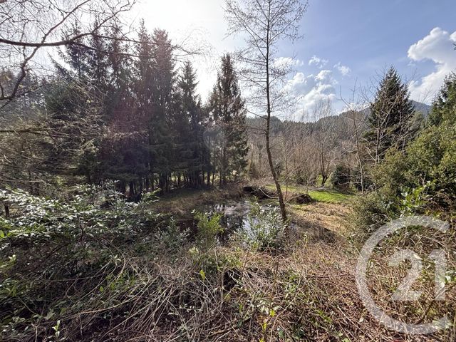 Maison &agrave; vendre - 3 pi&egrave;ces - 66,87 m2 - Le Saulcy - 88 - LORRAINE