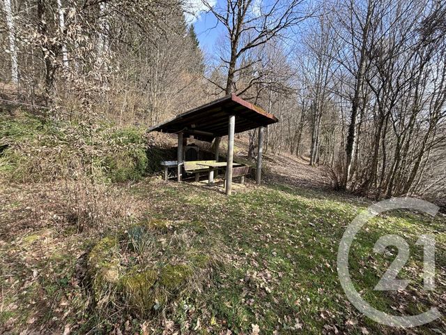 Maison &agrave; vendre - 3 pi&egrave;ces - 66,87 m2 - Le Saulcy - 88 - LORRAINE