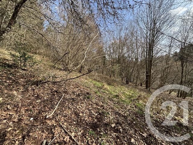 Maison &agrave; vendre - 3 pi&egrave;ces - 66,87 m2 - Le Saulcy - 88 - LORRAINE