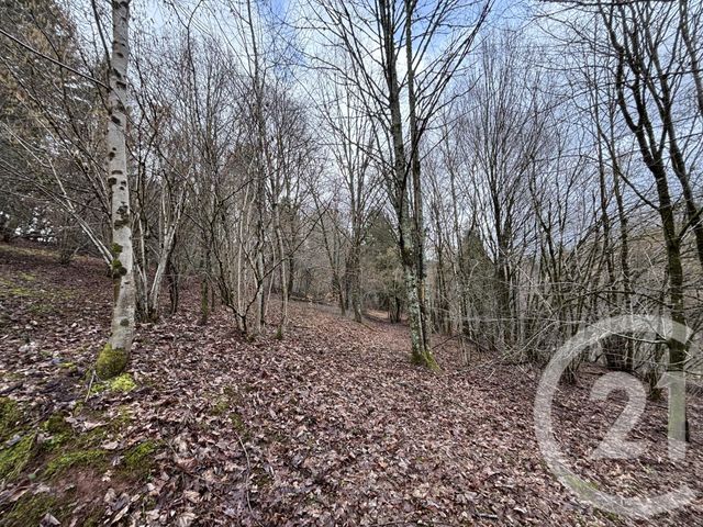 Maison &agrave; vendre - 3 pi&egrave;ces - 66,87 m2 - Le Saulcy - 88 - LORRAINE