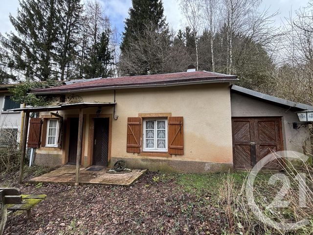 maison - LE SAULCY - 88